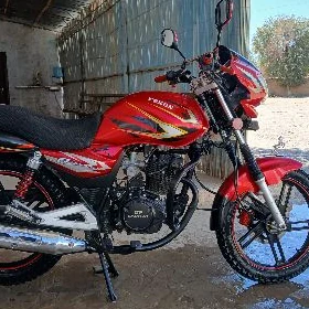 Fekon FK200-14G 2026
