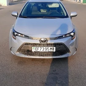 Toyota Corolla 2020