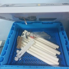 inkubator
