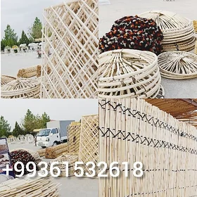 Гамыш Gamyş AK öý garöy Tüýnük