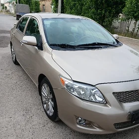Toyota Corolla 2010