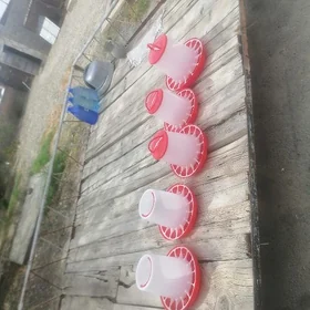 Juyje towuk ıyım berılyan