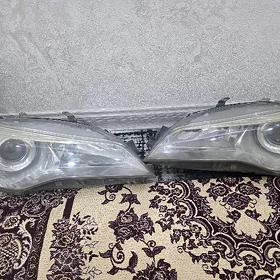 aziyada morda
