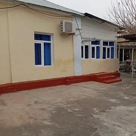 şor gardamak 6sotyk