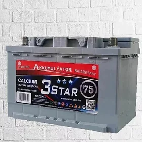 3star akkumlyator 7/24