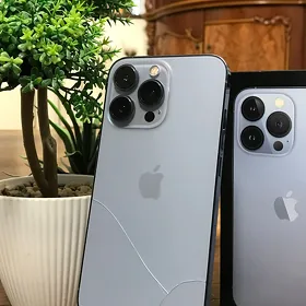 iPhone 13 pro
