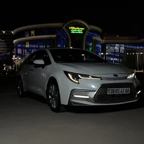 Toyota Corolla 2020