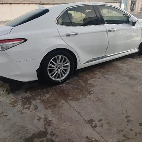 Toyota Camry 2019