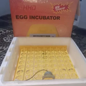 inkubator