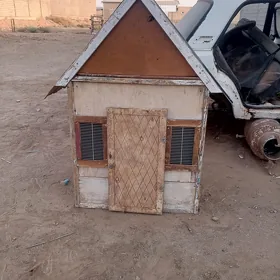 guş ketek