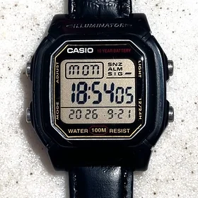 CASIO W-800H часы sagat