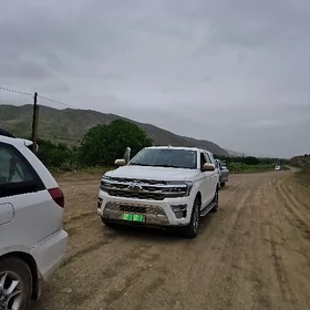 Ford Expedition 2022