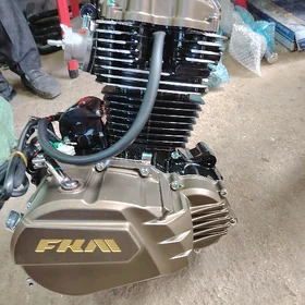 Fkm dwigitl 250 lik