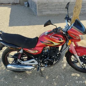 Fekon FK150-8G 2011