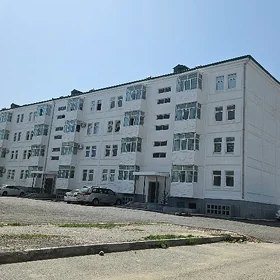 Anew panelka