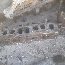 galowka 24
