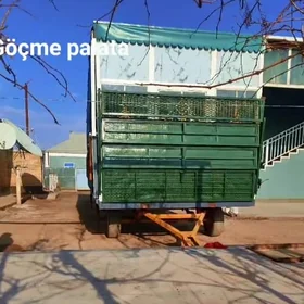 gocme toy palata