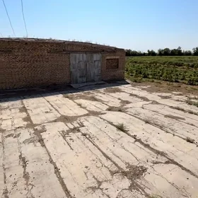 Satlyk sklat
