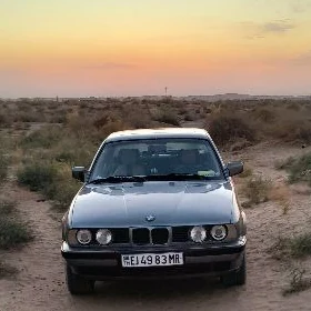 BMW 525 1991