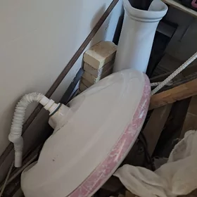 Rakowina turkunki galyñy