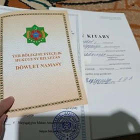 buzmeyin 40 yyllyk 16 sotok
