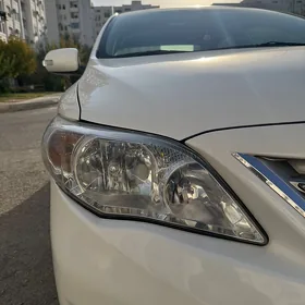 Carolla  fara haliji 2011
