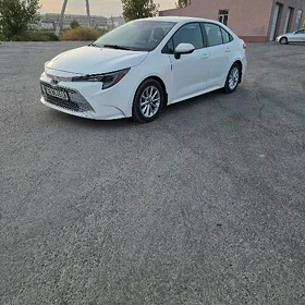 Toyota Corolla 2020