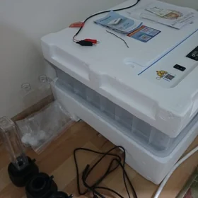 inkubator