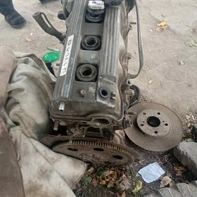 diwgitel 2 lik tayota