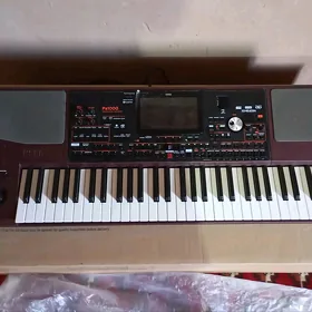 korg pa 1000