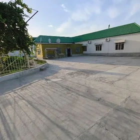 Buzmeyin Plan Jay/Безмеин