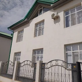 Satlyk Taze Zaman kateź 5 kom