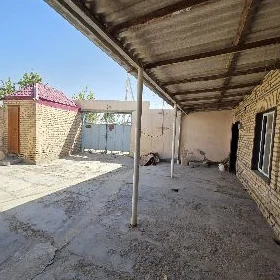 Şefçenka katež 4kom howly