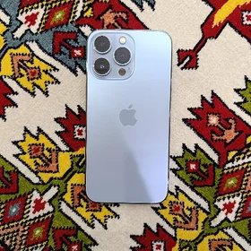 iPhone 13pro