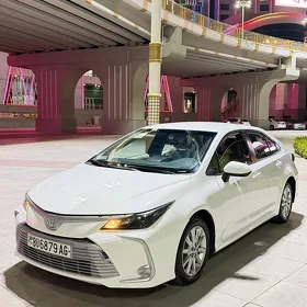 Toyota Corolla 2022