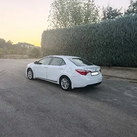Toyota Corolla 2014