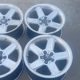 bmw diska şnaýzer r17