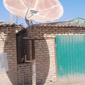 antena uly kici