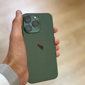 iphone 13pro