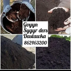 YANAN HALTALY DERS MİTİ SEMENT