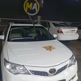 Moyka