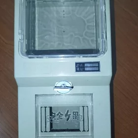 sçotçik daşy