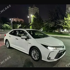 Toyota Corolla 2021
