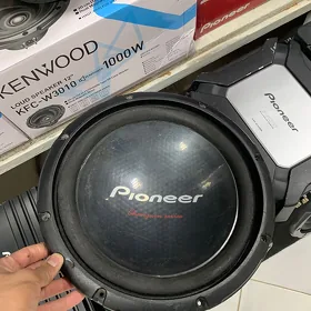 pioneer bocga
