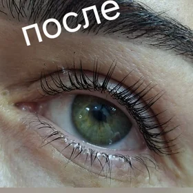 Салон Парикмахер Бровист