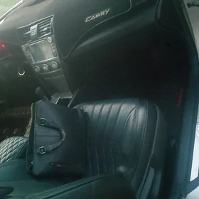 Toyota Camry 2009