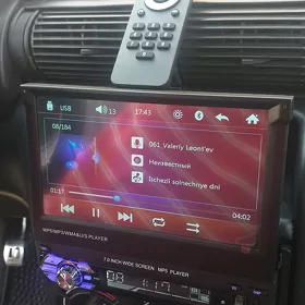 Pioner