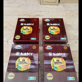 Kaier let arginal