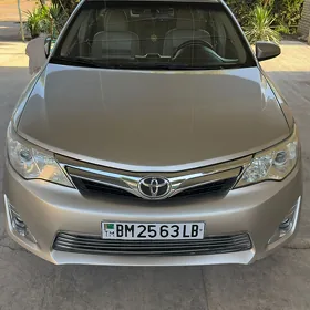 Toyota Camry 2013