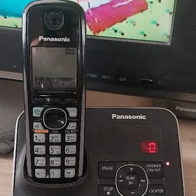 Panasonic